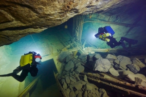 Kiskot_560px