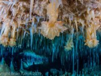 The fight for Abaco Island’s Crystal Caves National Conservation Area