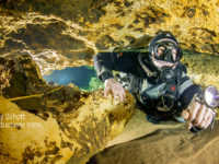 Molecular Medicine and Diving