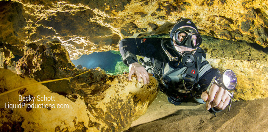 Molecular Medicine and Diving