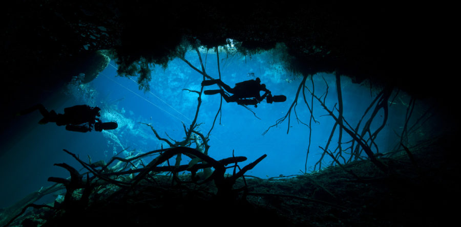 Back to The Future: Tech Diving in 2026?