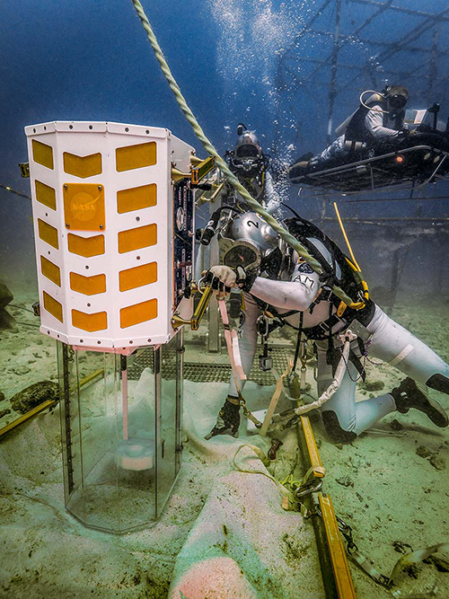 NEEMO 18