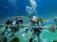 The NASA NEEMO Project: Exploring Human Spaceflight Dynamics Underwater