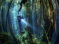 Decompression-Induced Bubbles – the Known, the Unknown, and the Implications