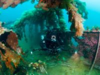 Newfoundland: When the War Came to Canada