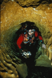 Dive Rite 45
