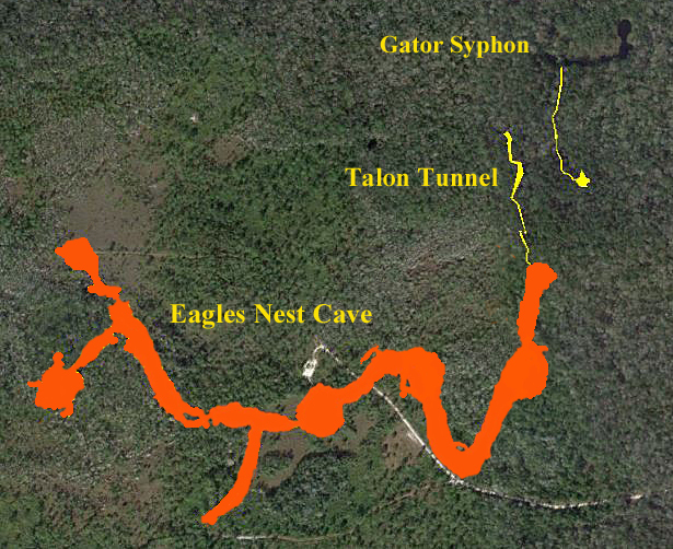 EN Gator