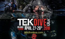 Navigating Between Physiological Benefit and Harm in Diving