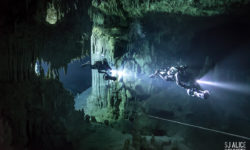 TEKDIVEUSA.2020 – Lurking in the Shadows – Capturing Moments in the Mexican Underwater Cave Systems