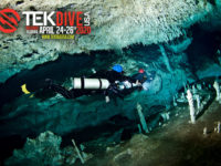 TEKDiveUSA.2020 – Physiology and Pathophysiology of Immersion