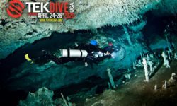 TEKDiveUSA.2020 – Physiology and Pathophysiology of Immersion