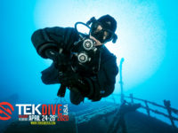 TEKDiveUSA.2020 – Understanding the science of Stupid
